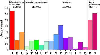 Comparative Genomics of the Herbivore Gut Symbiont Lactobacillus reuteri Reveals Genetic Diversity and Lifestyle Adaptation